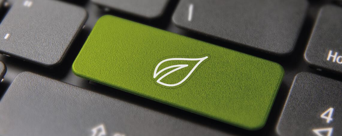 Digitalizzazione sostenibile per una transizione ecologica