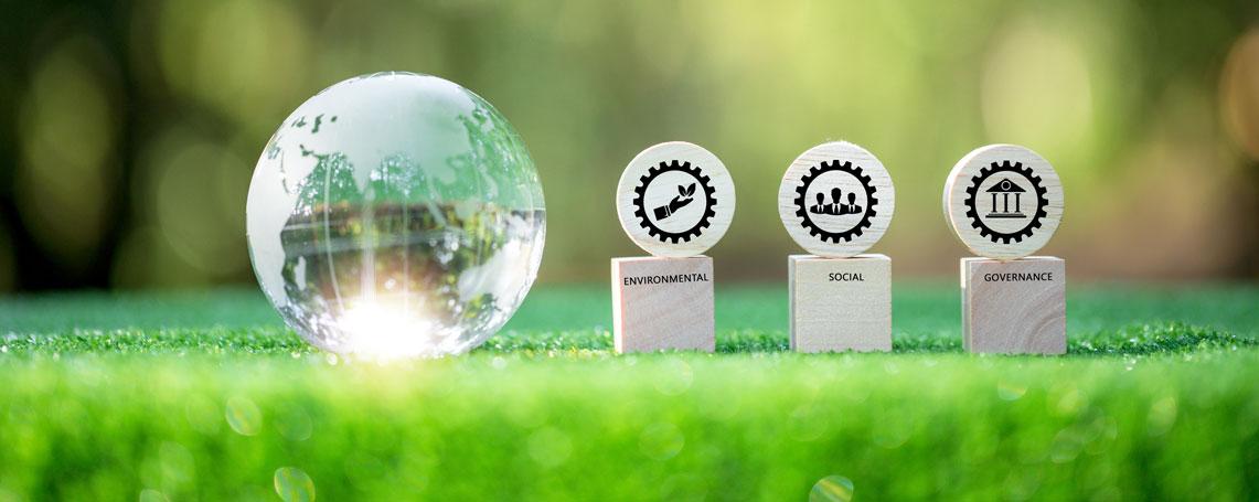 edicom sustainability