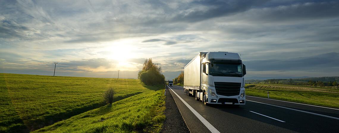 controllo delle merci in Ungheria