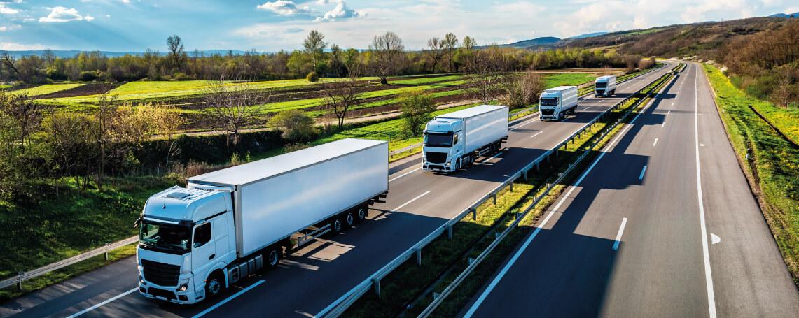 grecia documento di trasporto elettronico