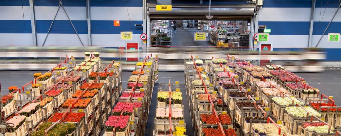 edicom-italia-conservazione 