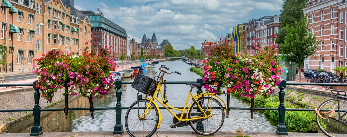 paesi bassi fattura elettronica