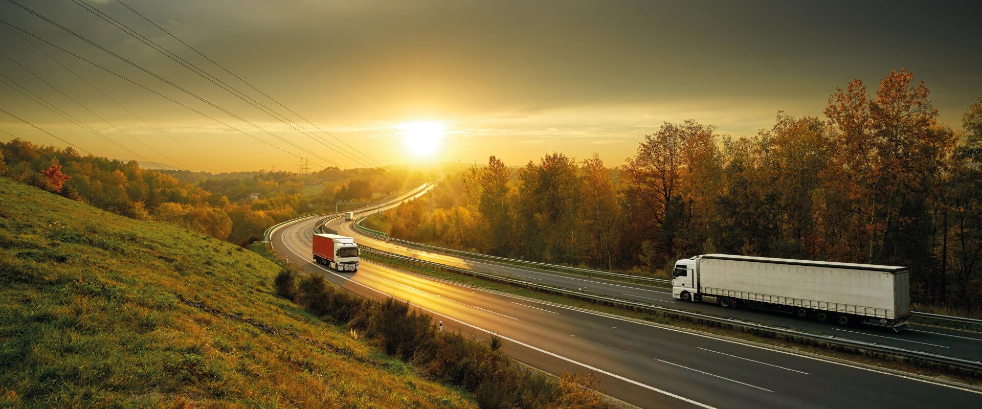 Serbia bollettino di consegna elettronico